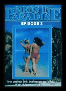 Плейбой: Птички в Раю 3 / Playboy: Birds in Paradise III (1984) (1984)
