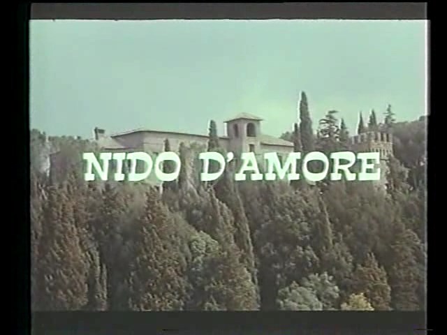 Любовное гнездышко / Nido d'amore (1984)