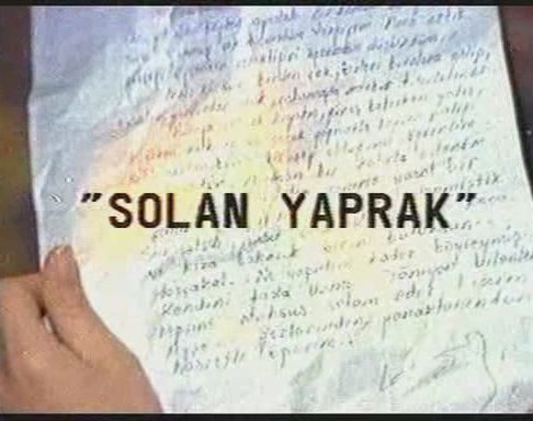 Турецкая Эротика / Solan Yaprak / Aga düsen kadin (1979)