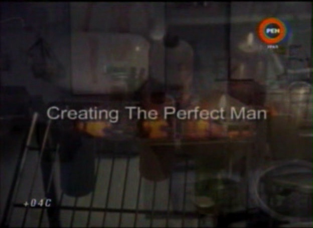 Идеальный мужчина / Sex Files - Creating The Perfect Man (2000)