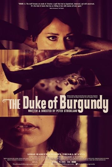 Герцог Бургундии / The Duke of Burgundy (2014) (2014)