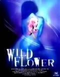 Полевые цветы / Wildflower (2000)