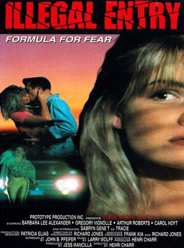 Незаконное вторжение / Illegal Entry: Formula for Fear (1993) (1993)