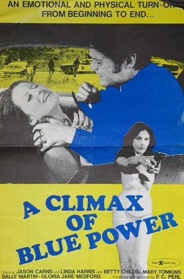 Оргазм полицейского / A Climax of Blue Power (1975) (1975)