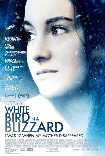 Белая птица в метели / White Bird in a Blizzard (2014) (2014)