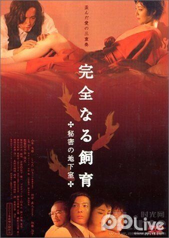 Идеальное образование 4: Тайный подвал / Kanzen-naru shiiku: Himitsu no chika-shitsu (2003) (2003)