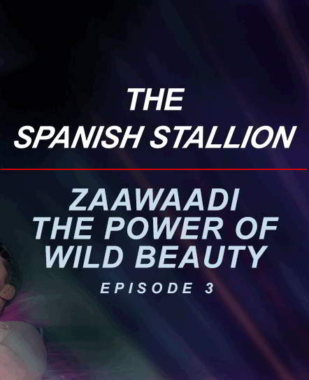 Испанский Жеребец: Zaawaadi Сила Дикой Красоты / The Spanish Stallion: Zaawaadi the Power of Wild Beauty (2021) (2021)