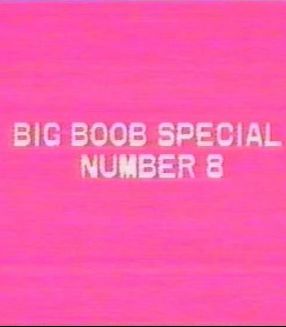 Big Boob Special 8 (circa 1992) (1992)