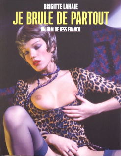 Я горю везде / Je Brule de Partout (1979) (1979)