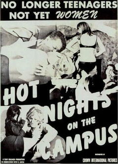 Горячие ночи на кампусе / Hot Nights on the Campus (1966)