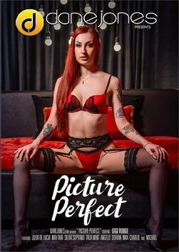 Идеальный кадр / Picture Perfect (2025)