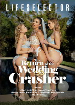 Возвращение Крэшера Свадеб / The Return of The Wedding Crasher (2026)
