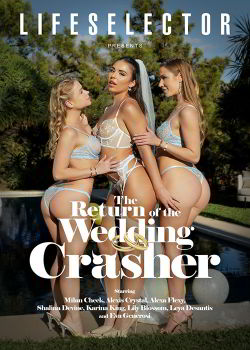 Возвращение разрушителя свадеб / The Return of The Wedding Crasher (2026)