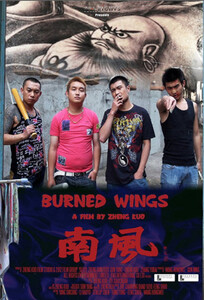 Обожжённые крылья / Burned Wings (2012)